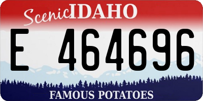 ID license plate E464696