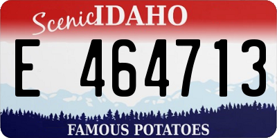 ID license plate E464713