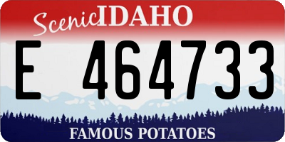 ID license plate E464733