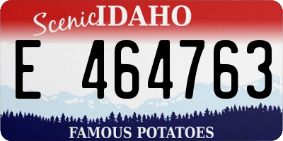ID license plate E464763
