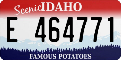 ID license plate E464771