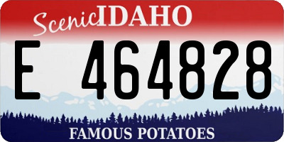 ID license plate E464828