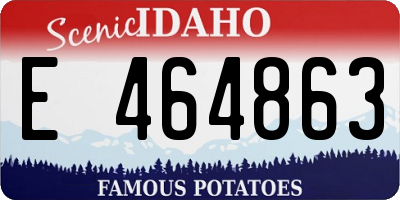ID license plate E464863