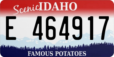 ID license plate E464917