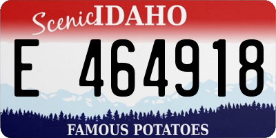 ID license plate E464918