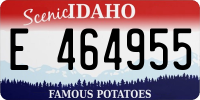 ID license plate E464955