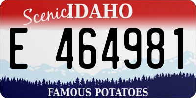 ID license plate E464981