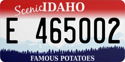ID license plate E465002