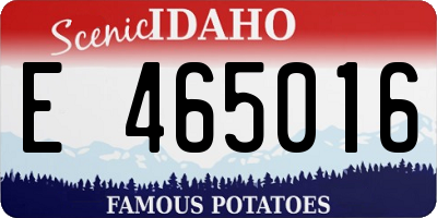 ID license plate E465016