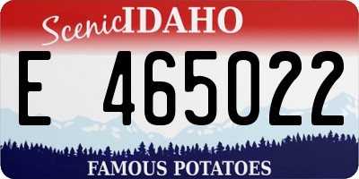 ID license plate E465022
