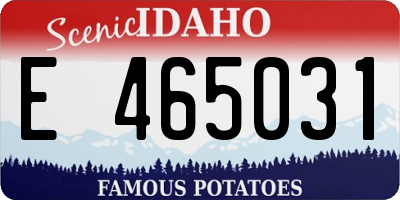 ID license plate E465031