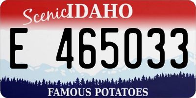 ID license plate E465033