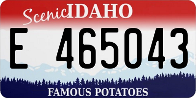 ID license plate E465043