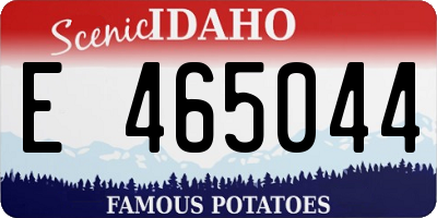 ID license plate E465044