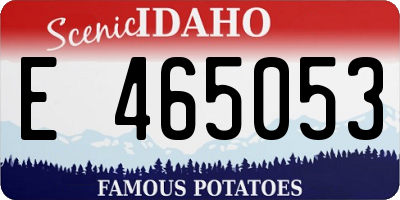 ID license plate E465053