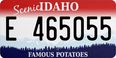 ID license plate E465055
