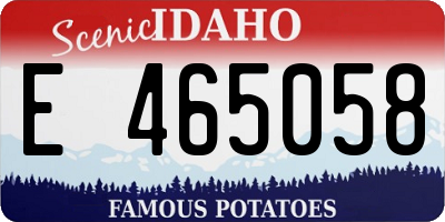 ID license plate E465058