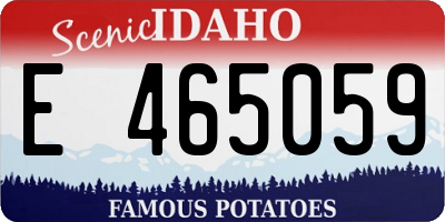 ID license plate E465059