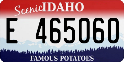 ID license plate E465060