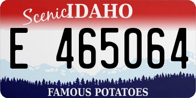ID license plate E465064