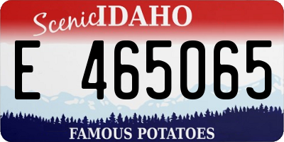 ID license plate E465065