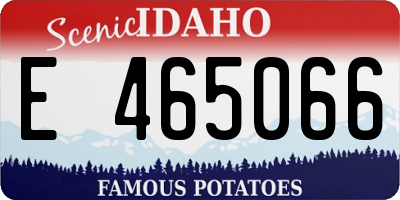 ID license plate E465066