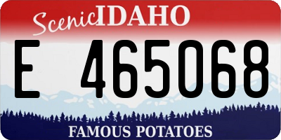 ID license plate E465068