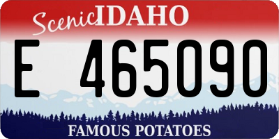 ID license plate E465090