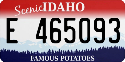 ID license plate E465093