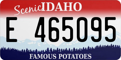 ID license plate E465095