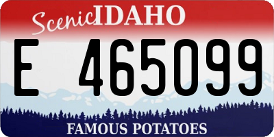ID license plate E465099