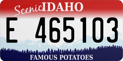 ID license plate E465103