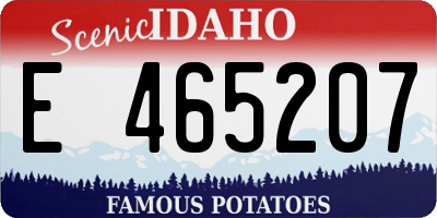ID license plate E465207