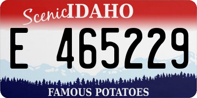 ID license plate E465229