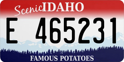ID license plate E465231