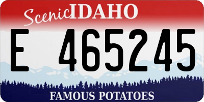 ID license plate E465245