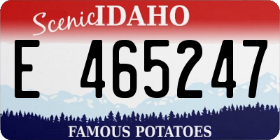 ID license plate E465247