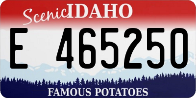ID license plate E465250