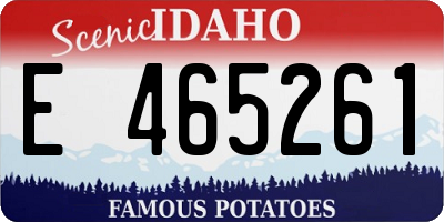ID license plate E465261