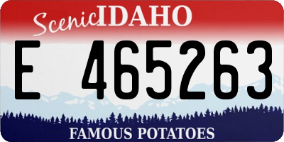 ID license plate E465263