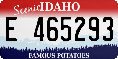 ID license plate E465293