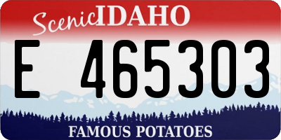 ID license plate E465303