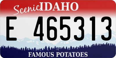 ID license plate E465313