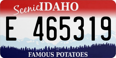 ID license plate E465319