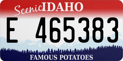ID license plate E465383