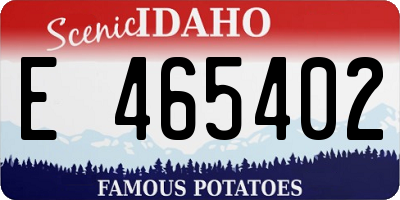 ID license plate E465402