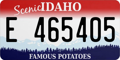 ID license plate E465405
