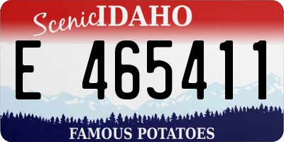 ID license plate E465411