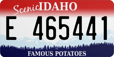 ID license plate E465441