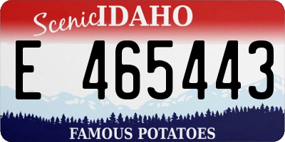 ID license plate E465443